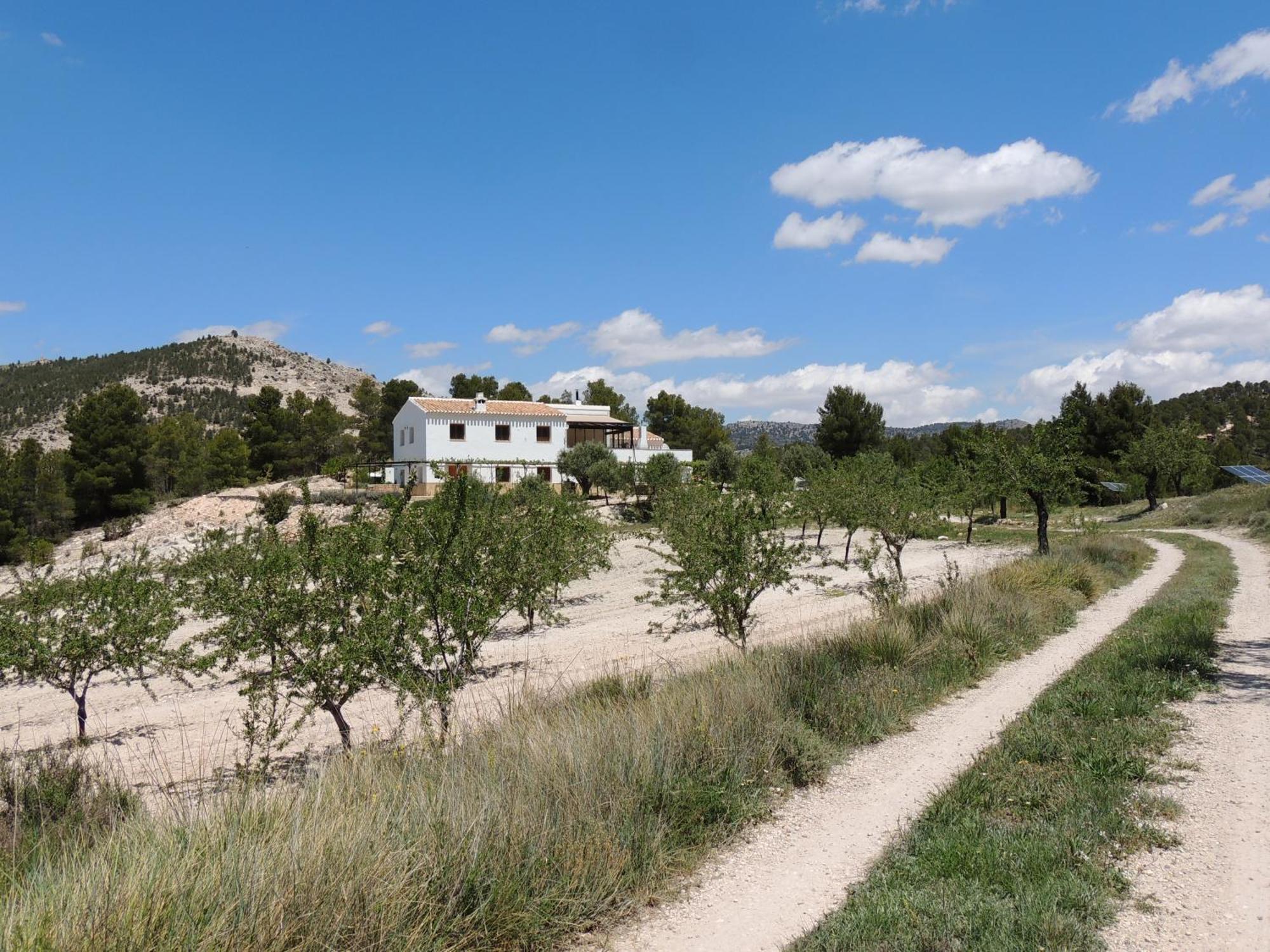Cortijo Blanco Leilighet Vélez Blanco Eksteriør bilde