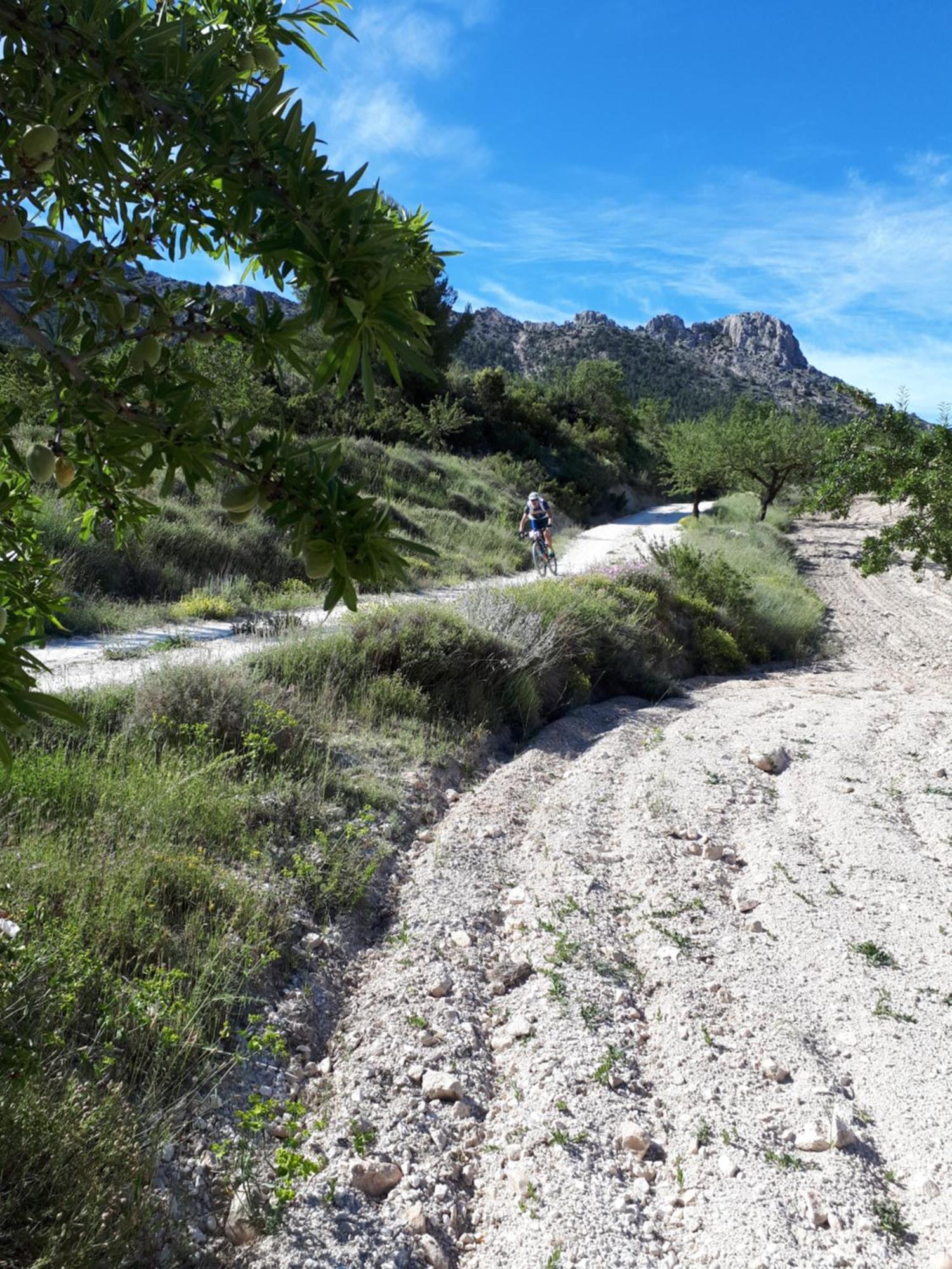 Cortijo Blanco Leilighet Vélez Blanco Eksteriør bilde