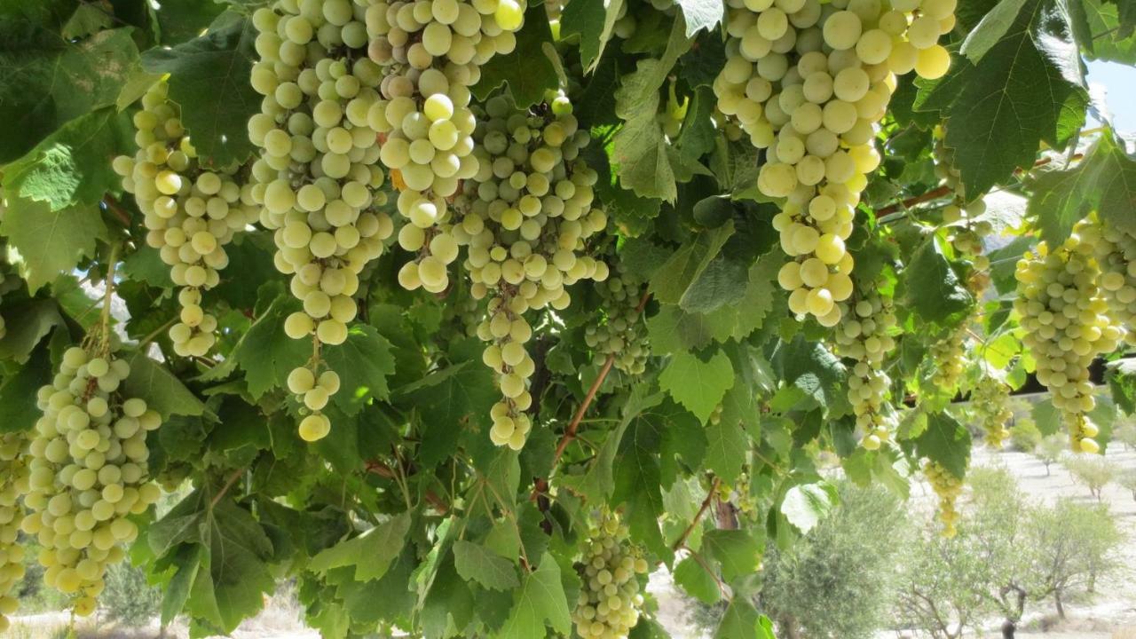 Cortijo Blanco Leilighet Vélez Blanco Eksteriør bilde